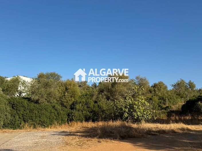 Image No.6-Terre à vendre à Boliqueime