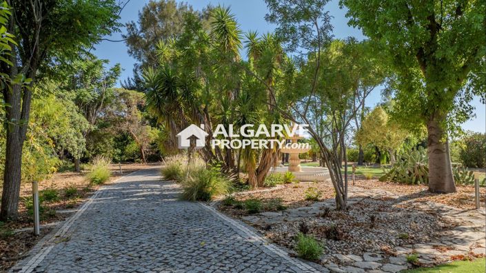 Image No.64-Villa de 5 chambres à vendre à Estói