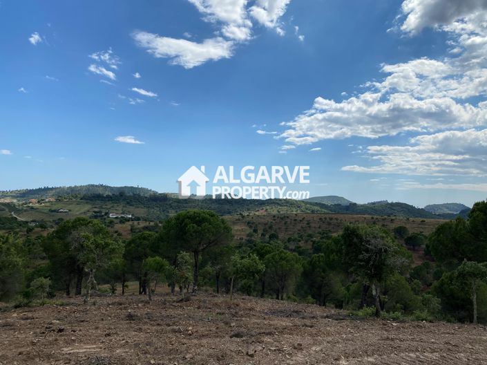 Image No.21-Terre à vendre à Silves
