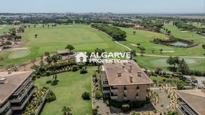 3-12193-78d1f4f8b6655591b02d22fabb36a692d73cc