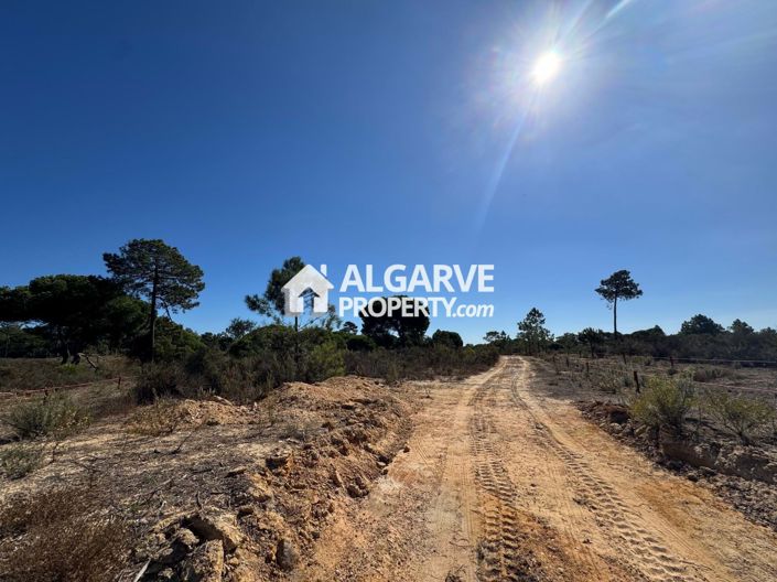 Image No.2-Land for sale