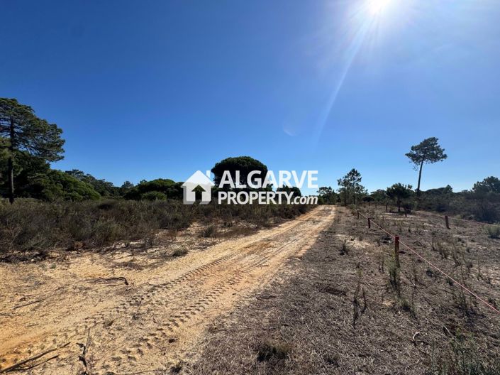 Image No.3-Land for sale