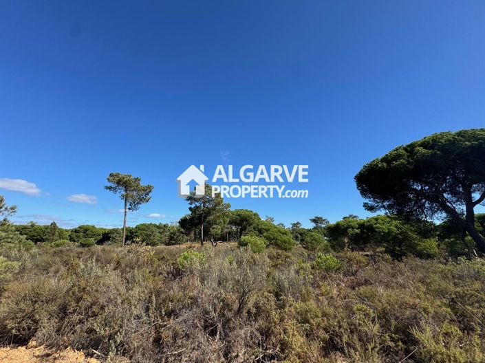 Image No.4-Land for sale