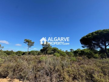 3-12283-78d1f4f8b6655591b02d22fabb36a692d73cc