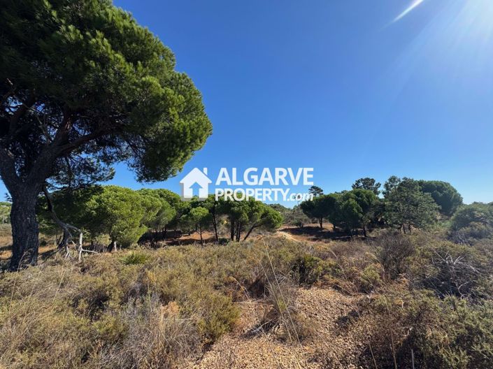 Image No.5-Land for sale