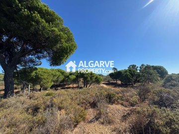 3-12283-78d1f4f8b6655591b02d22fabb36a692d73cc