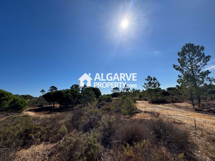 Image No.6-Land for sale