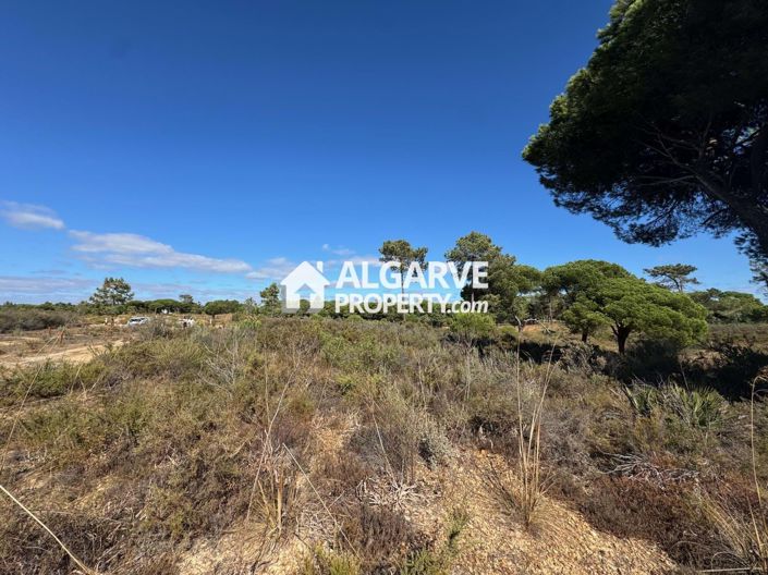 Image No.7-Land for sale