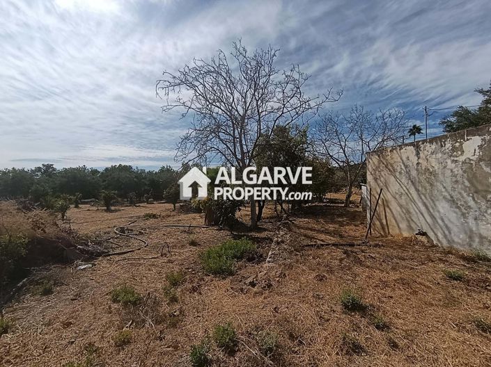 Image No.2-Terre à vendre à Goldra