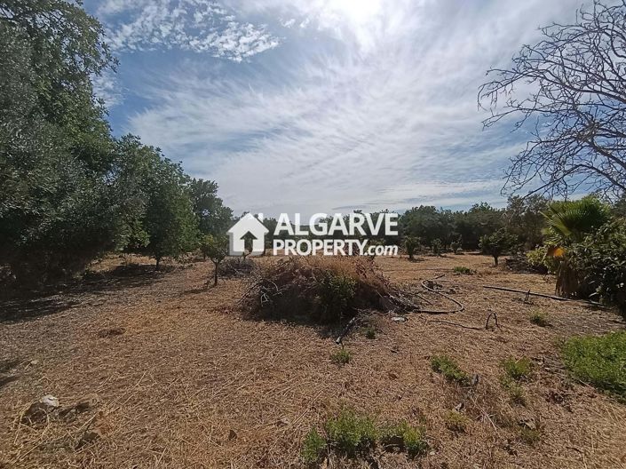 Image No.4-Terre à vendre à Goldra