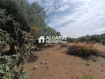 3-11411-78d1f4f8b6655591b02d22fabb36a692d73cc