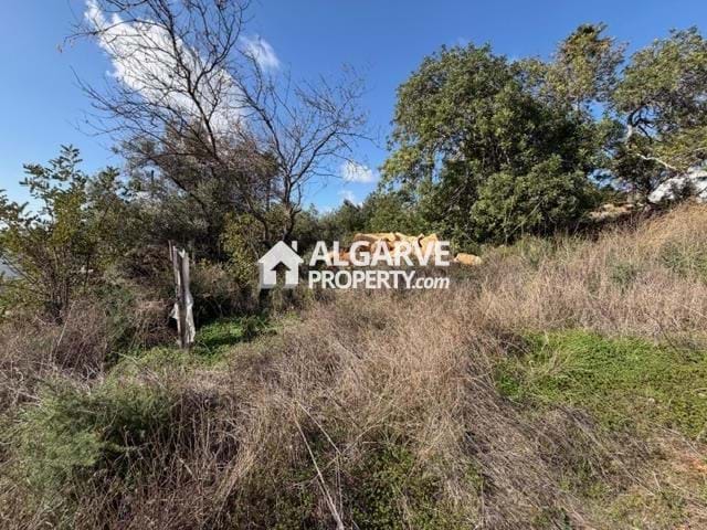 Image No.4-Land for sale