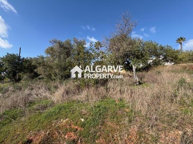 Image No.8-Land for sale