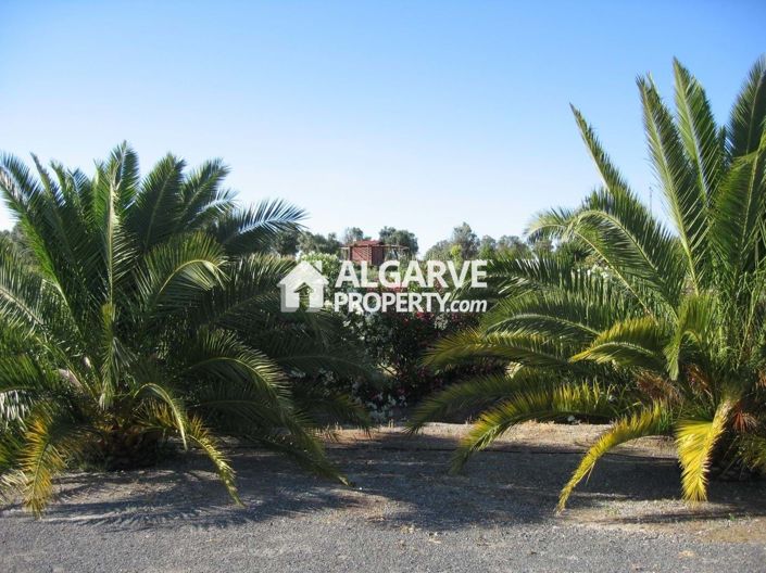 Image No.15-7 Bed Villa for sale