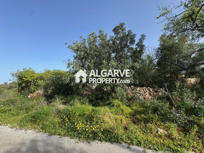 Image No.7-Land for sale