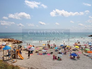 posidonia-14