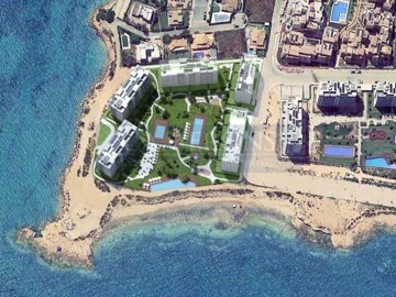 posidonia-13