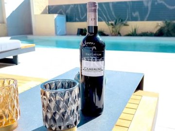 27-villa-balance