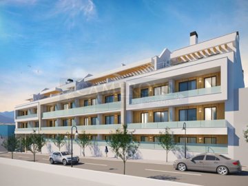 mirasol-4