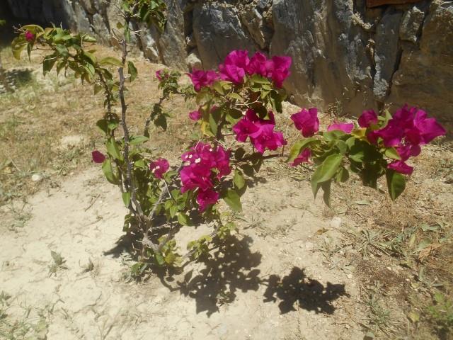 Image No.28-3 Bed Villa / Detached for sale