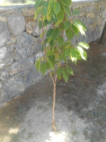 Image No.30-3 Bed Villa / Detached for sale