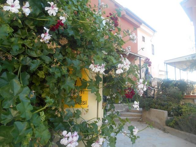 Image No.1-5 Bed House for sale