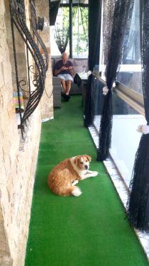 Image No.28-Maison de 4 chambres à vendre à Kusadasi