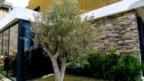 Image No.6-Villa / Détaché de 4 chambres à vendre à Kusadasi