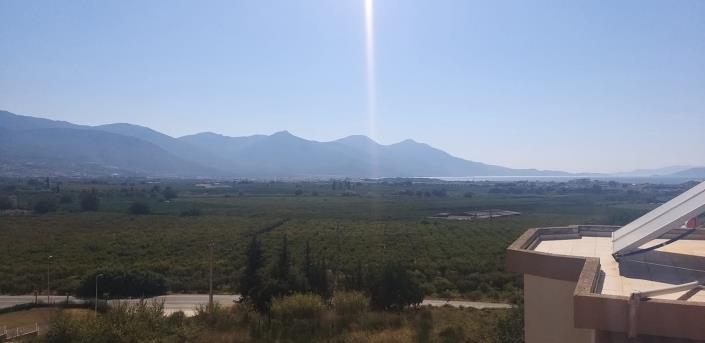 Image No.14-4 Bed House for sale