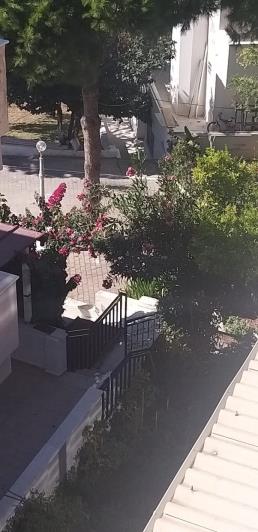 Image No.11-4 Bed House for sale