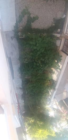 Image No.22-4 Bed House for sale