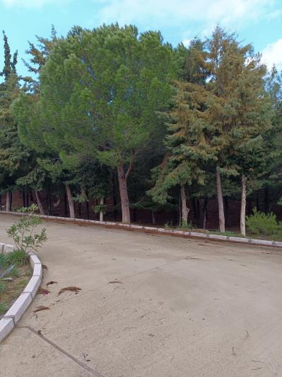 Image No.7-4 Bed House for sale