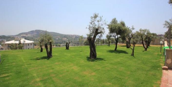 Image No.8-1 Bed Apartment for sale