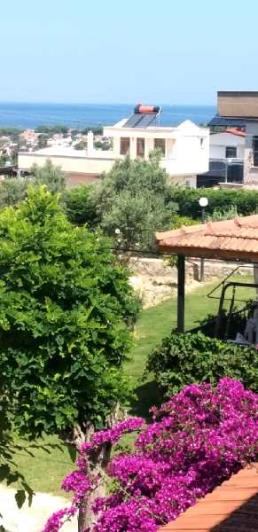 Image No.13-Maison de 3 chambres à vendre à Sogucak