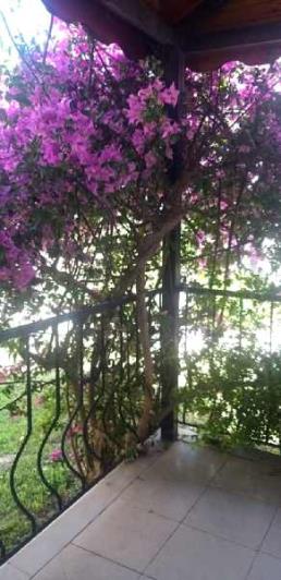 Image No.17-Maison de 3 chambres à vendre à Sogucak