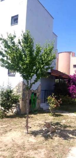 Image No.20-Maison de 3 chambres à vendre à Sogucak