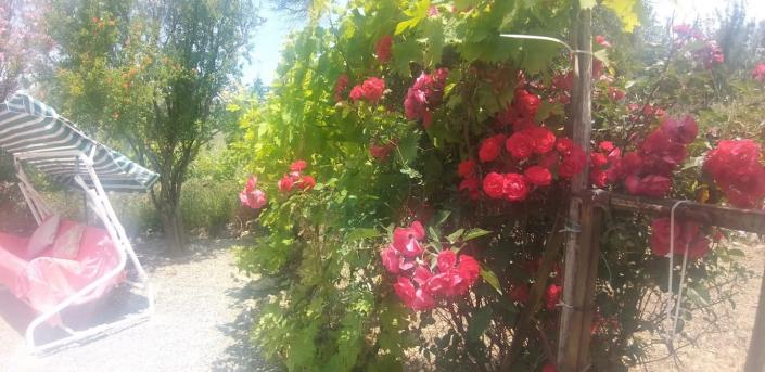 Image No.2-2 Bed House for sale