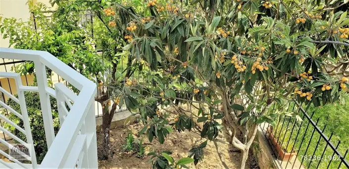 Image No.28-4 Bed House for sale