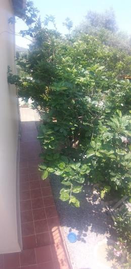 Image No.15-2 Bed Villa / Detached for sale