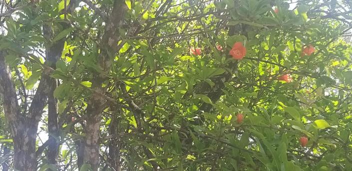 Image No.44-2 Bed Villa / Detached for sale