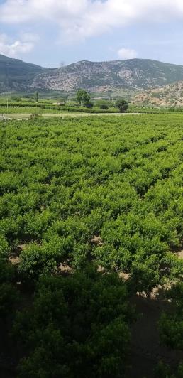 Image No.21-3 Bed Apartment for sale