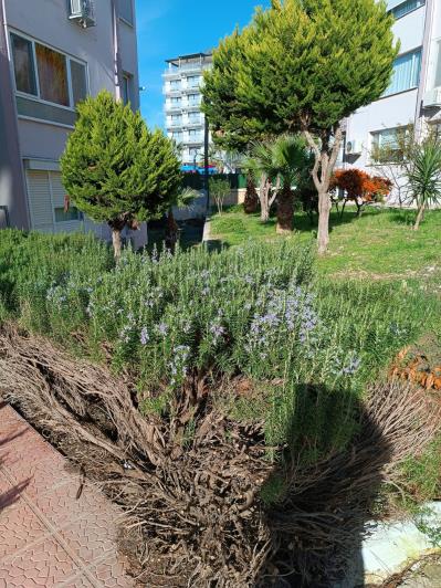 Image No.13-Appartement de 3 chambres à vendre à Kusadasi