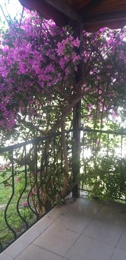 Image No.16-3 Bed House for sale