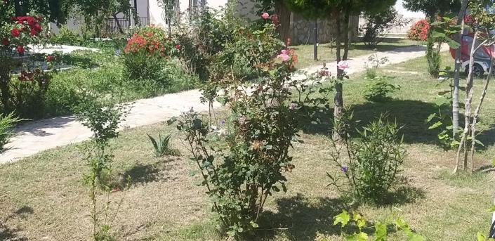 Image No.17-3 Bed House for sale