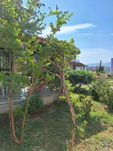 Image No.14-3 Bed House for sale