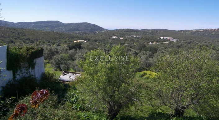 Image No.5-Terrain à vendre à Faro City