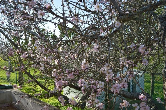 Image No.10-Terrain de 1 chambre à vendre à Lagos