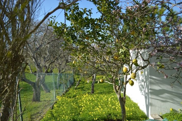 Image No.11-Terrain de 1 chambre à vendre à Lagos