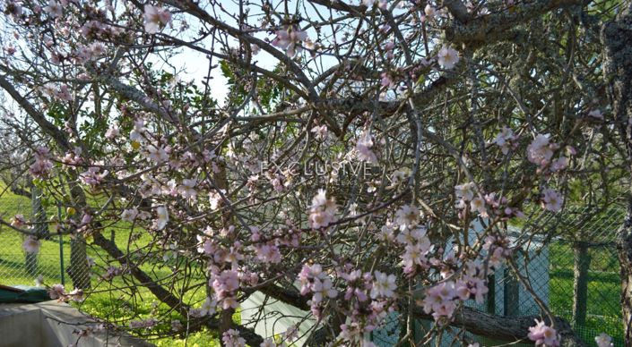 Image No.17-Terrain de 1 chambre à vendre à Lagos