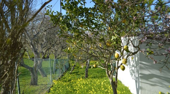 Image No.18-Terrain de 1 chambre à vendre à Lagos